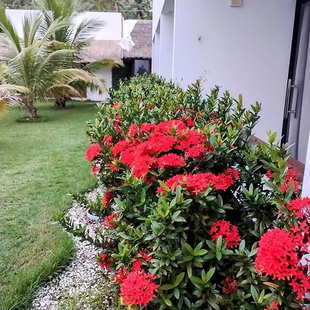 Mar Turquesa Eco Pousada ماراغوغي المظهر الخارجي الصورة